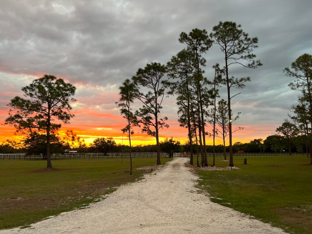 sunset view from canobak